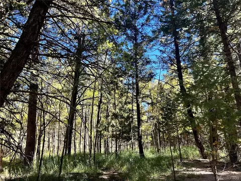 311 Pine Dr, Bailey, CO 80421 photo 5