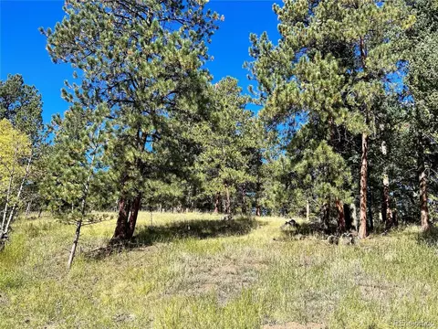 311 Pine Dr, Bailey, CO 80421 photo 13