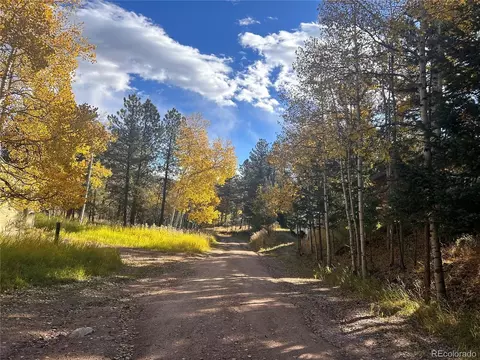 311 Pine Dr, Bailey, CO 80421 photo 17