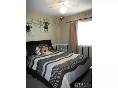 5872 Merganser Ct, Frederick, CO 80504 photo 19