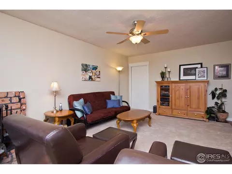 214 Elm St, Windsor, CO 80550 photo 18