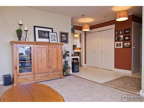 214 Elm St, Windsor, CO 80550 photo 19