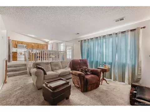 Living - 19356 E 40th Pl, Denver, CO 80249 photo 2 of 2
