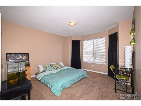 211 Poudre Bay, Windsor, CO 80550 photo 17