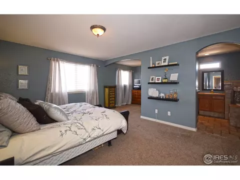 211 Poudre Bay, Windsor, CO 80550 photo 13