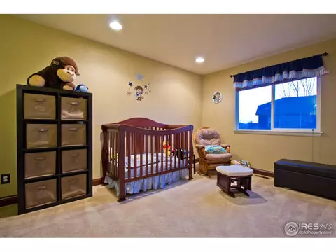 226 Bittern Dr, Johnstown, CO 80534 photo 14