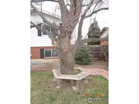 7058 Otis Ct, Arvada, CO 80003 photo 19