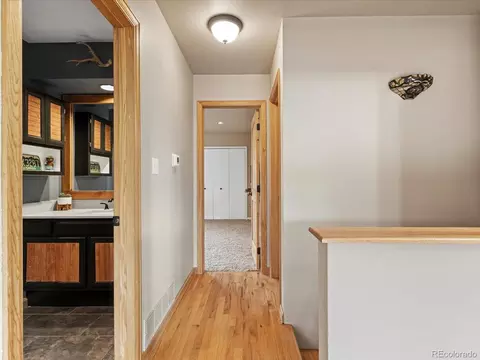 637 Yellow Pine Dr, Bailey, CO 80421 photo 19