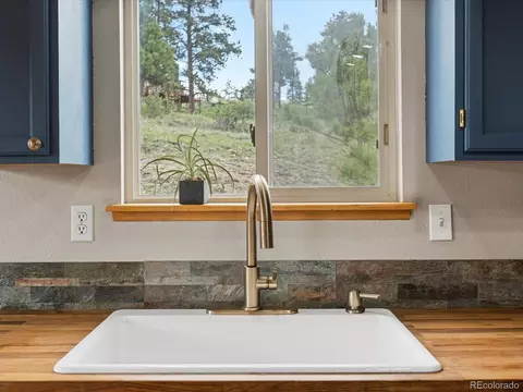 637 Yellow Pine Dr, Bailey, CO 80421 photo 17
