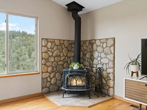 637 Yellow Pine Dr, Bailey, CO 80421 photo 11