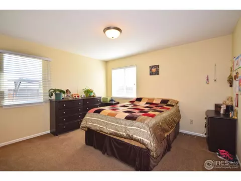 709 Kenosha Ct, Windsor, CO 80550 photo 11