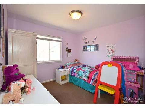 709 Kenosha Ct, Windsor, CO 80550 photo 15