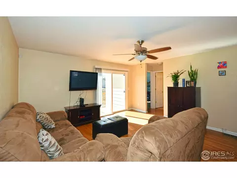 709 Kenosha Ct, Windsor, CO 80550 photo 6