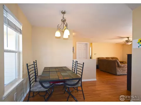 709 Kenosha Ct, Windsor, CO 80550 photo 7