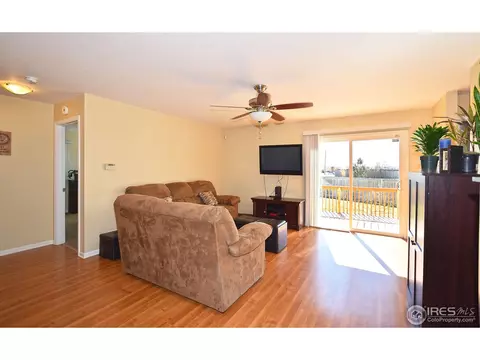 709 Kenosha Ct, Windsor, CO 80550 photo 5