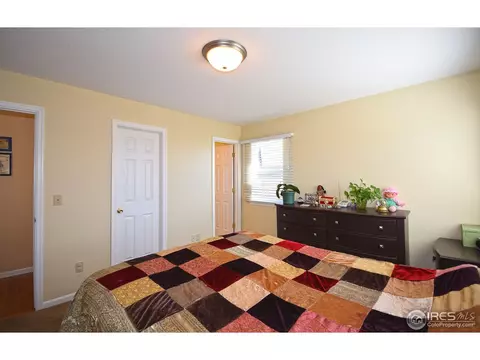 709 Kenosha Ct, Windsor, CO 80550 photo 12