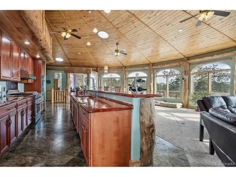 31393 Evans View Ln, Pine, CO 80470 photo 12