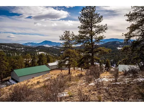 31393 Evans View Ln, Pine, CO 80470 photo 33