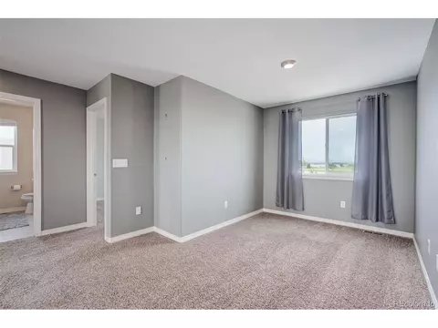 6030 Carmon Dr, Windsor, CO 80550 photo 19