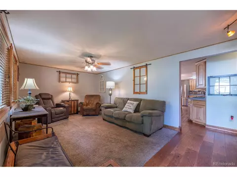 712 Boise Dr, Silverthorne, CO 80498 photo 10