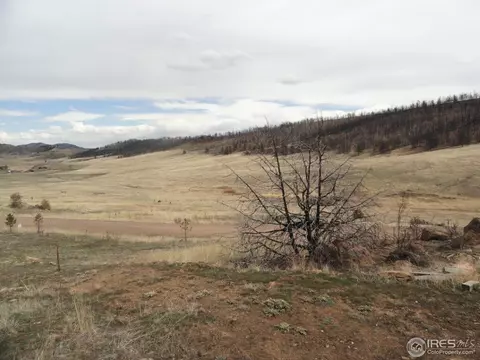 1355 Eiger Rd, Livermore, CO 80536 photo 5