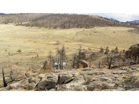 1355 Eiger Rd, Livermore, CO 80536 photo 16