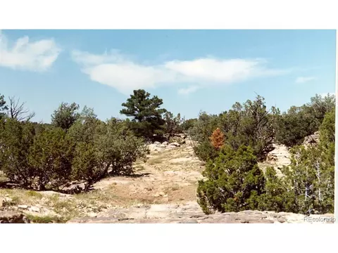 198 Tyrone Hls, Walsenburg, CO 81089