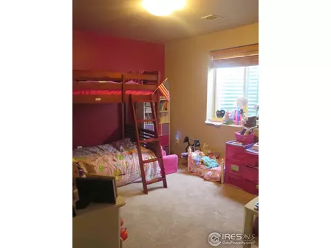 1121 Valley Dr, Windsor, CO 80550 photo 15