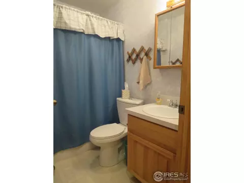 1121 Valley Dr, Windsor, CO 80550 photo 14