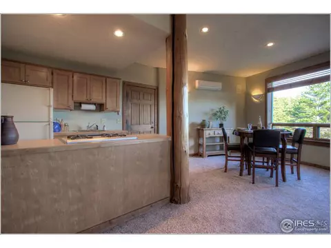 1554 Rowell Dr, Lyons, CO 80540 photo 24