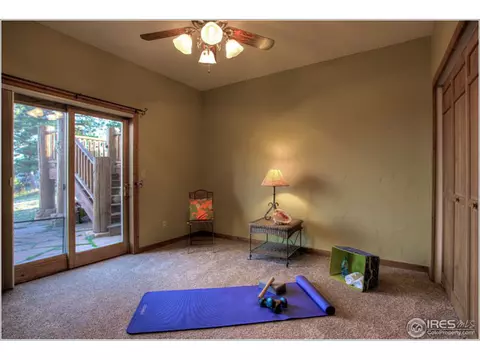 1554 Rowell Dr, Lyons, CO 80540 photo 22