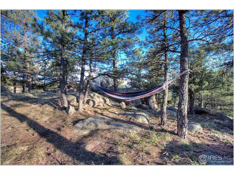 1554 Rowell Dr, Lyons, CO 80540 photo 6