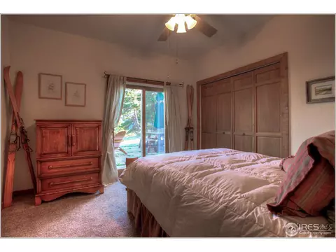1554 Rowell Dr, Lyons, CO 80540 photo 21