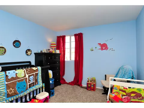 2154 E 98th Ave, Thornton, CO 80229 photo 20