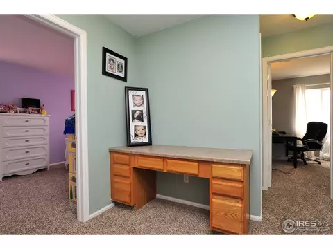 2154 E 98th Ave, Thornton, CO 80229 photo 22