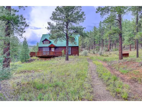 10725 Box Canyon Rd, Weston, CO 81091