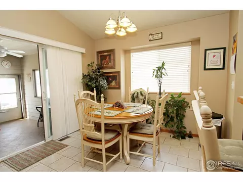 388 Sorrel Dr, Windsor, CO 80550 photo 8