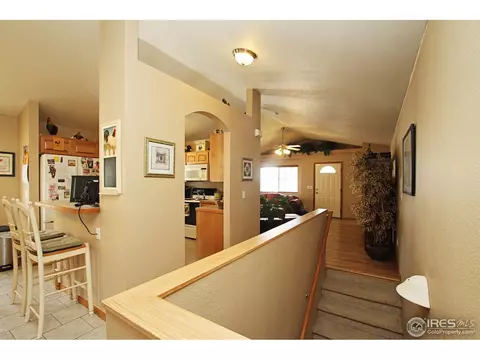 388 Sorrel Dr, Windsor, CO 80550 photo 19