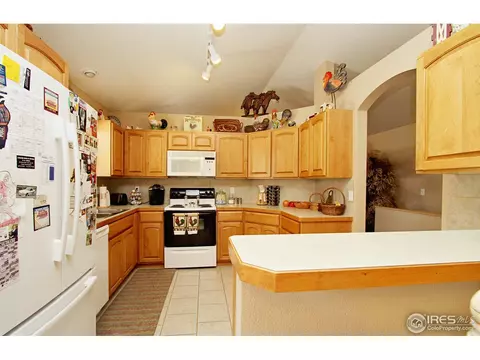 388 Sorrel Dr, Windsor, CO 80550 photo 7