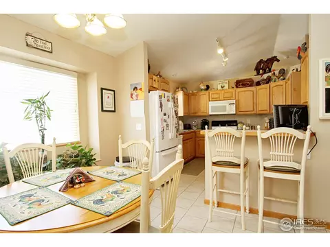 388 Sorrel Dr, Windsor, CO 80550 photo 10