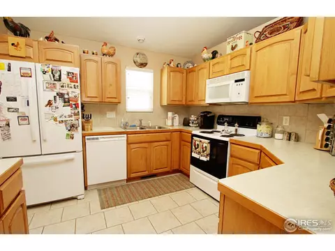 388 Sorrel Dr, Windsor, CO 80550 photo 6