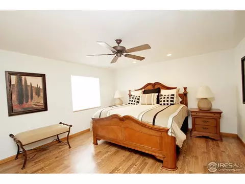 388 Sorrel Dr, Windsor, CO 80550 photo 22