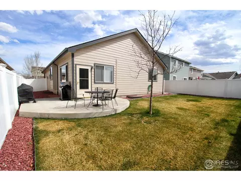 388 Sorrel Dr, Windsor, CO 80550 photo 25