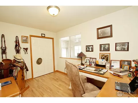 388 Sorrel Dr, Windsor, CO 80550 photo 12