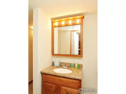 388 Sorrel Dr, Windsor, CO 80550 photo 21