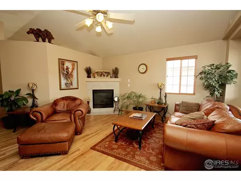 388 Sorrel Dr, Windsor, CO 80550 photo 3