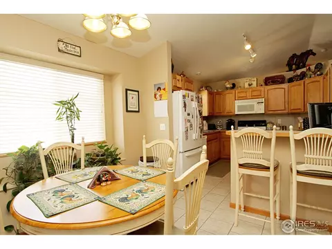 388 Sorrel Dr, Windsor, CO 80550 photo 9
