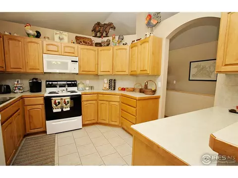 388 Sorrel Dr, Windsor, CO 80550 photo 5