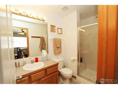 388 Sorrel Dr, Windsor, CO 80550 photo 16