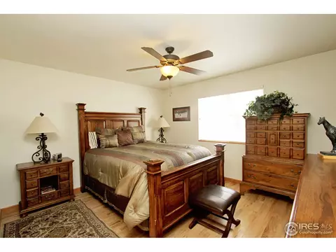 388 Sorrel Dr, Windsor, CO 80550 photo 13